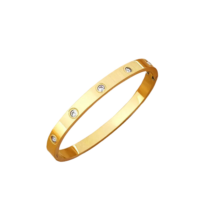 Pulseira Luxo em Aço Titânio Kajia